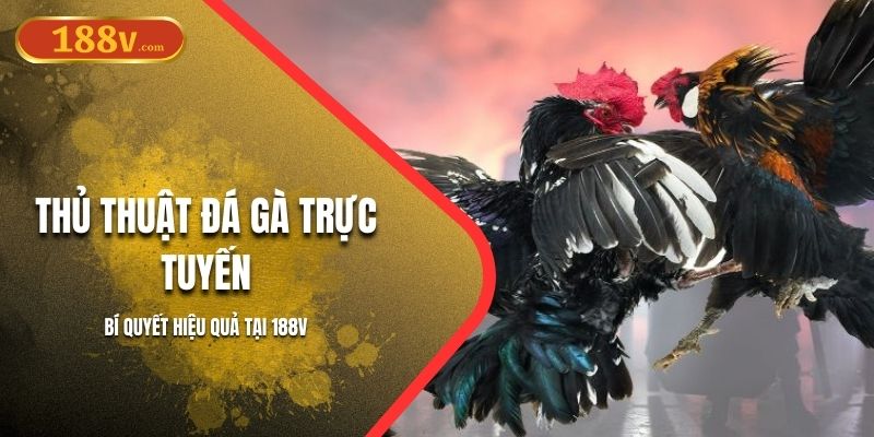 Thủ Thuật Đá Gà Trực Tuyến – Bí Quyết Hiệu Quả Tại 188V